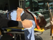 Trafik Kazası Açıklaması 3 Yaralı