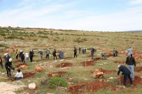 GAZIANTEP TICARET BORSASı - En İyi Zeytinyağı Üreticileri Ödüllendirildi