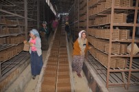 SUBAŞı - Günde 150 Bin Tuğla Üreten Fabrika Kızların Umudu Oldu