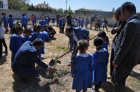 UĞUR ARSLAN - Kulu'da Afrin Şehitleri Anısına Fidan Dikildi