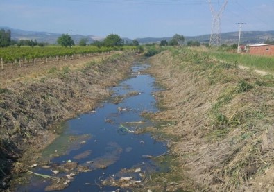 Muradiye'nin Deresi Temizlendi