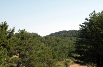 ORMAN VE SU İŞLERİ BAKANI - Tabiat Parklarına Bir Yenisi Daha Eklendi