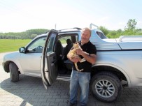 ÇILINGIR - Kamyonette Mahsur Kalan Kedi, Çilingir Yardımıyla Kurtarıldı