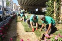 DAVUTLAR - Kuşadası Çevre Yolunda Peyzaj Çalışmaları Sürüyor
