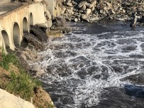 VEYSEL EROĞLU - Avrupa'nın En Büyüğü Marmara'ya