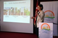 Buharkent'te Üzüm Konulu Eğitim Toplantısı Yapıldı Haberi