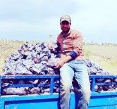 ŞEYH ŞAMIL - İnşaatın 7'Nci Katında Düşen Suriyeli İşçi Öldü