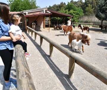 İzmir Doğal Yaşam Parkı, Yeni Yavrularla Daha Da Büyüdü