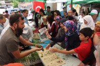 UTKU ÇAKIRÖZER - Yakakayı'da Yerel Tohum Ve Fide Takas Şenliği