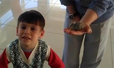 5 Yaşındaki Çocuk Yavru Kuşun Hayatını Kurtardı