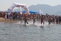 TÜRKİYE YÜZME FEDERASYONU - Dalyan'da Sporcular Carettalarla Yüzdü