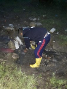 Gece Yarısı İnci Kefalini Kurtarma Operasyonu