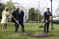BİLD - Macron Ve Trump'ın Diktiği Fidanın Beyaz Saray'ın Bahçesinden Kaldırıldığı İddiası