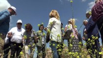 DICLE ÜNIVERSITESI - Turizmde 'Altın Elma' Ödülü Diyarbakır'a Verildi