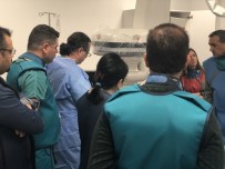 İLAÇ TEDAVİSİ - 20 Yabancı Doktora 'Ameliyatsız Bel Ve Boyun Fıtığı Tedavisi' Eğitimi Verildi
