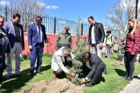 VEHBİ KOÇ - İnönü'de Öğrencilerin Ağaç Dikme Etkinliği
