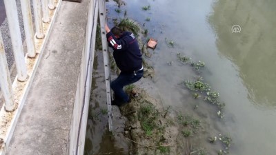 Kanala Düşen Köpek Yavrusunu İtfaiye Kurtardı