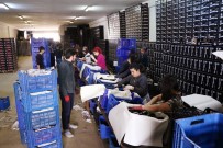 FELAKET - Seracıların Sıcak Hava Endişesi