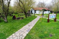 ORMAN VE SU İŞLERİ BAKANI - 70'E Yakın Kuş Türü Üreme Dönemi İçin Kuş Cenneti'ne Geliyor