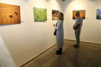 SERGİ AÇILIŞI - Büyükşehir Belediyesi'nden 4 Mevsim Fotoğraf Sergisi