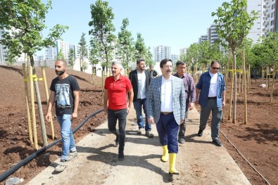 Diyarbakır'ın Çehresini Değiştirecek Çalışmalar Devam Ediyor