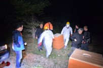 ABDULLAH ŞAHIN - Karıncalara Gece Yarısı Operasyonu