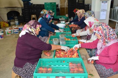 MATSO Başkanı Ahmet Boztaş 'Manavgat Meyvecilikte De Adından Söz Ettirecek'