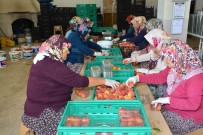 ÇAKAL - MATSO Başkanı Ahmet Boztaş 'Manavgat Meyvecilikte De Adından Söz Ettirecek'