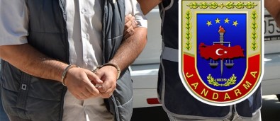 Milas'ta Kaçak Kazı Operasyonu