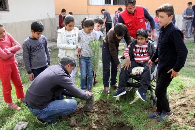 Hizan'da Öğrencilerin Fidan Ekimi Ve Çevre Düzenlemesi