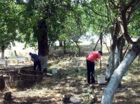 ABDURRAHMAN TOPRAK - Mezarlıklarda Bahar Temizliği Başladı