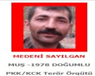 PKK TERÖR ÖRGÜTÜ - Kırmızı listedeki terörist öldürüldü