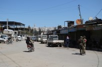 AFRİN - Afrin'de Bahar Havası