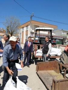 Çiftçilere Kara Buğday Tohumu Dağıtıldı