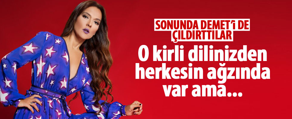 Demet Akalın'dan o yazara tepki