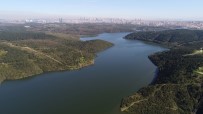 İstanbul'daki Barajların Doluluk Oranı Arttı