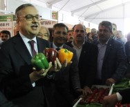 ADANALıOĞLU - Mersin'de 'Biber Çeşitleri Tanıtım Günleri Fuarı' Açıldı