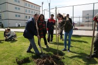 ODÜ Kampüsü Yeşillendi