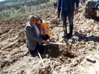 Önce Fidan Diktiler Sonra Da Doğaya Yem Bıraktılar