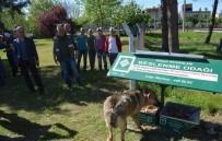 Osmaniye'de Sokak Hayvanları İçin Beslenme Noktaları Oluşturuldu
