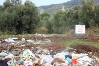 Zeytinlikler Moloz Tehdidi Altında