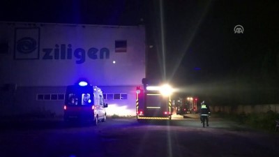 Sakarya'da Fabrika Yangını