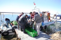 Vurgun Yiyen Deniz Patlıcanı Avcısı Hayatını Kaybetti