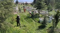 KULLAR - Başiskele Mezarlıklarında Ot Temizliği