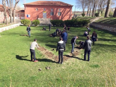 Çayıralan'da 4 Bin Adet Gül Fidanı Toprakla Buluştu