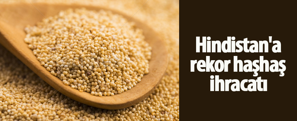 Hindistan'a rekor haşhaş ihracatı