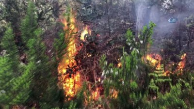 İstanbul Orman Bölge Müdürlüğünden Aydos Ormanlarında Çıkan Yangın Hakkında Açıklama