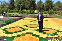 HADRIAN - Kepez'de 'Portakal Çiçeği Günleri' başlıyor