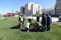 LALE SOĞANI - Lale Vadisi Parkı'nda Lale Soğanı Ekimi Yapıldı