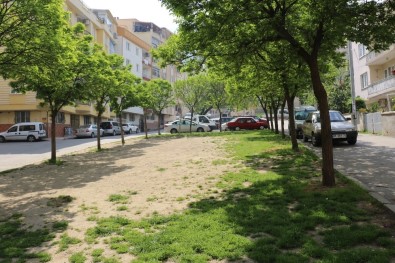 Yunusemre Akmescit'e Yeni Bir Park Kazandıracak